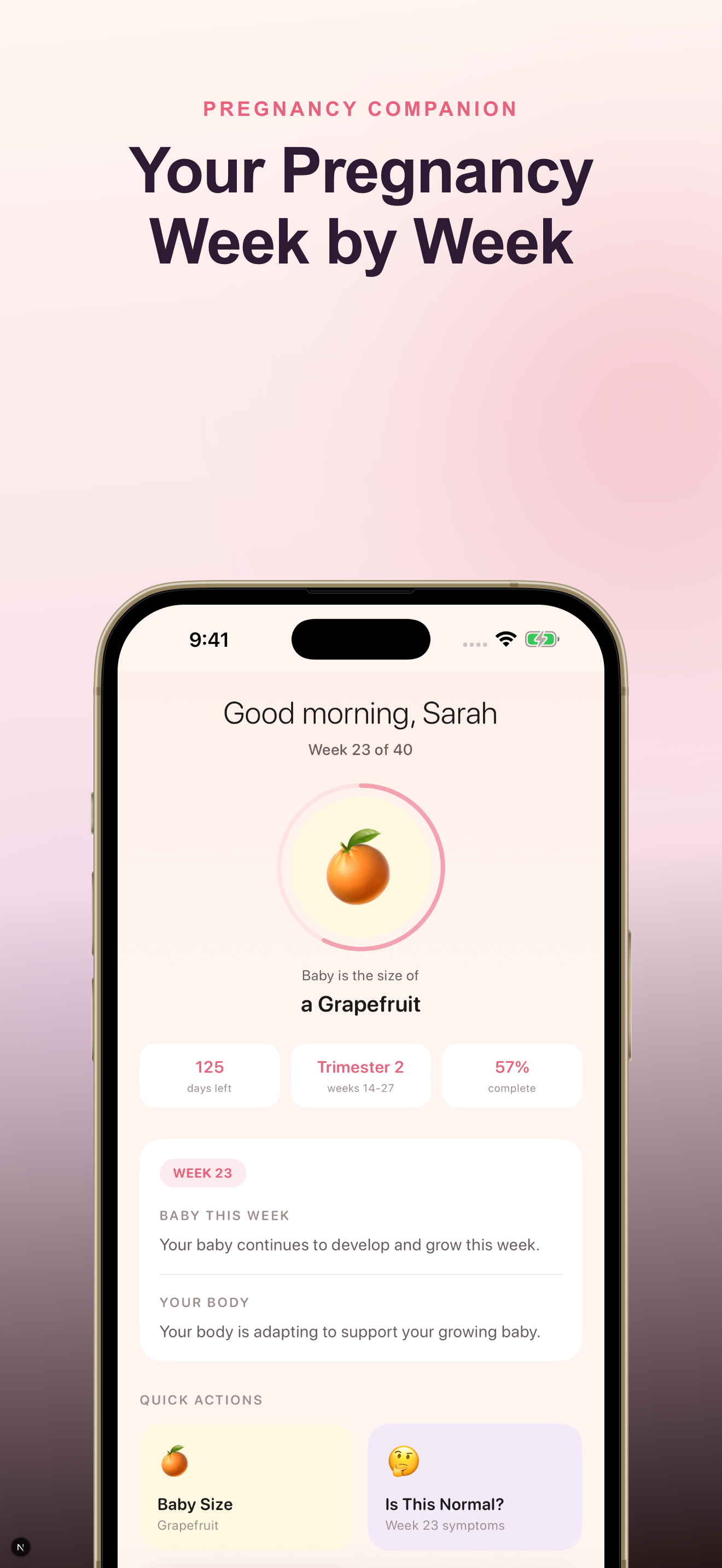 Bloom screenshot 1