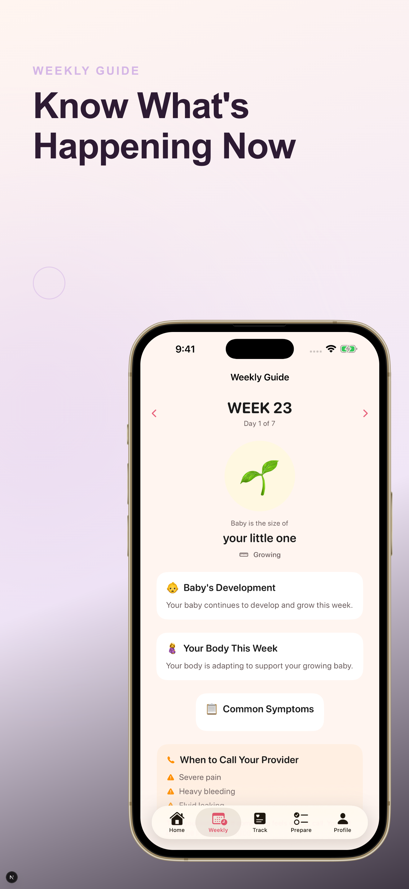 Bloom screenshot 2
