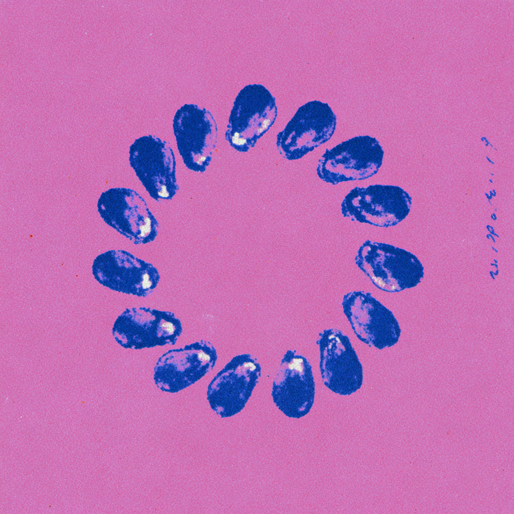 Phase logo
