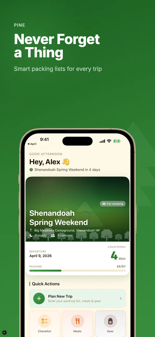 Pine screenshot 1