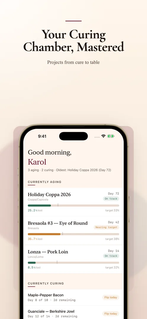 Salumi screenshot 1